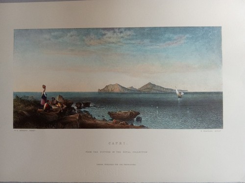 Riproduzione isola capri - riproduzione,