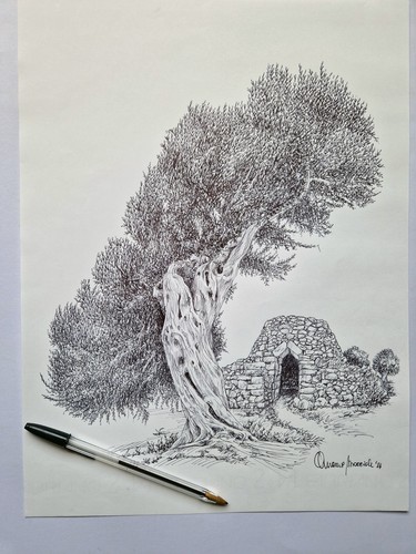 Ulivo salentino disegno con - -,
